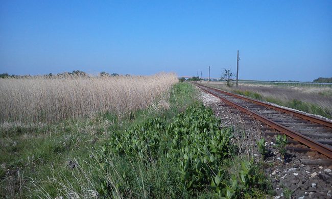 Rekonstrukcija-pruge-Subotica-–-Horgoš-2